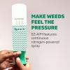 imageSpruce EZAIM Grass and Weed Killer Spray  Precision Shot for Cracks Edges ampamp Small Spaces  Starts Wilting in 1 Hour Dead Weeds in 24 Hours 3 Pack 10 Oz Each
