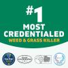 imageSpruce EZAIM Grass and Weed Killer Spray  Precision Shot for Cracks Edges ampamp Small Spaces  Starts Wilting in 1 Hour Dead Weeds in 24 Hours 3 Pack 10 Oz Each